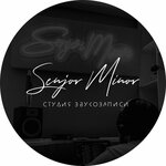 Сеньор Минор (Минск, ул. Карла Маркса, 30), студия звукозаписи в Минске