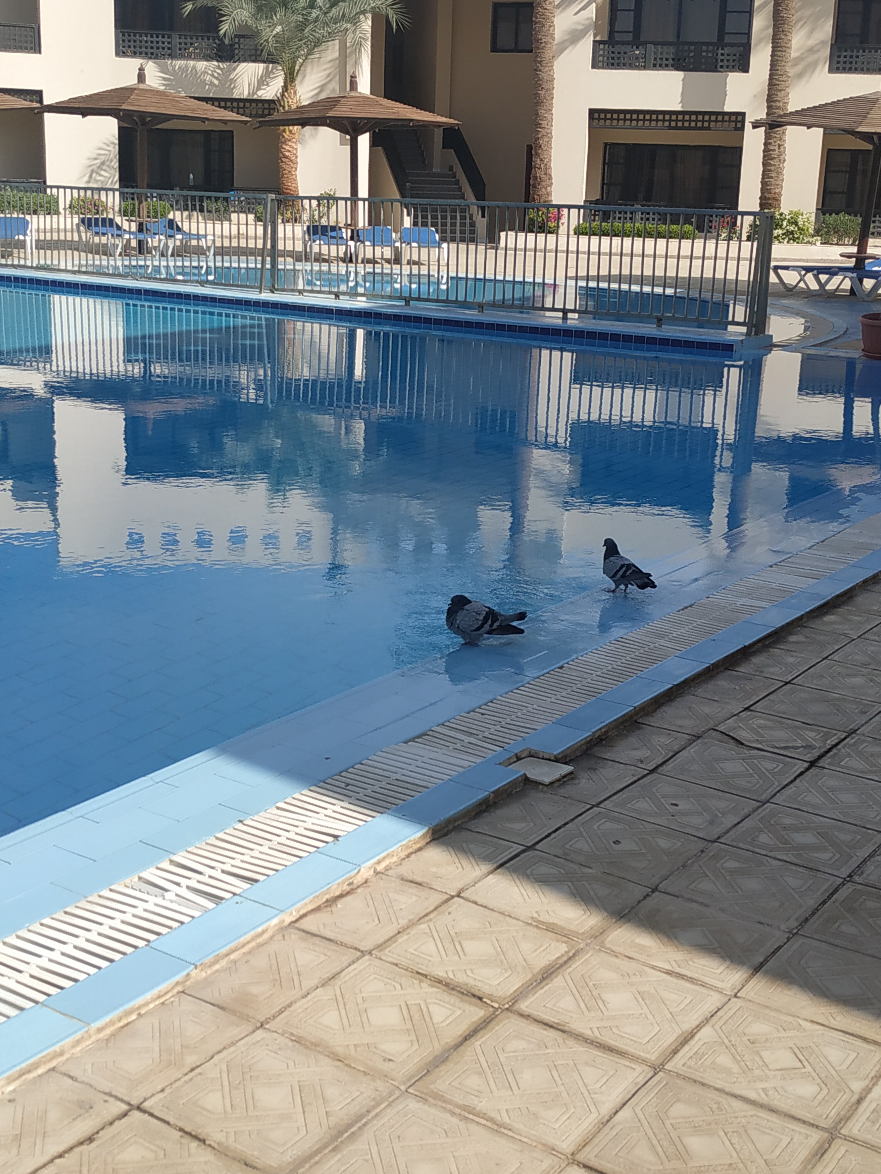 Фото Blend Club Aqua Resort