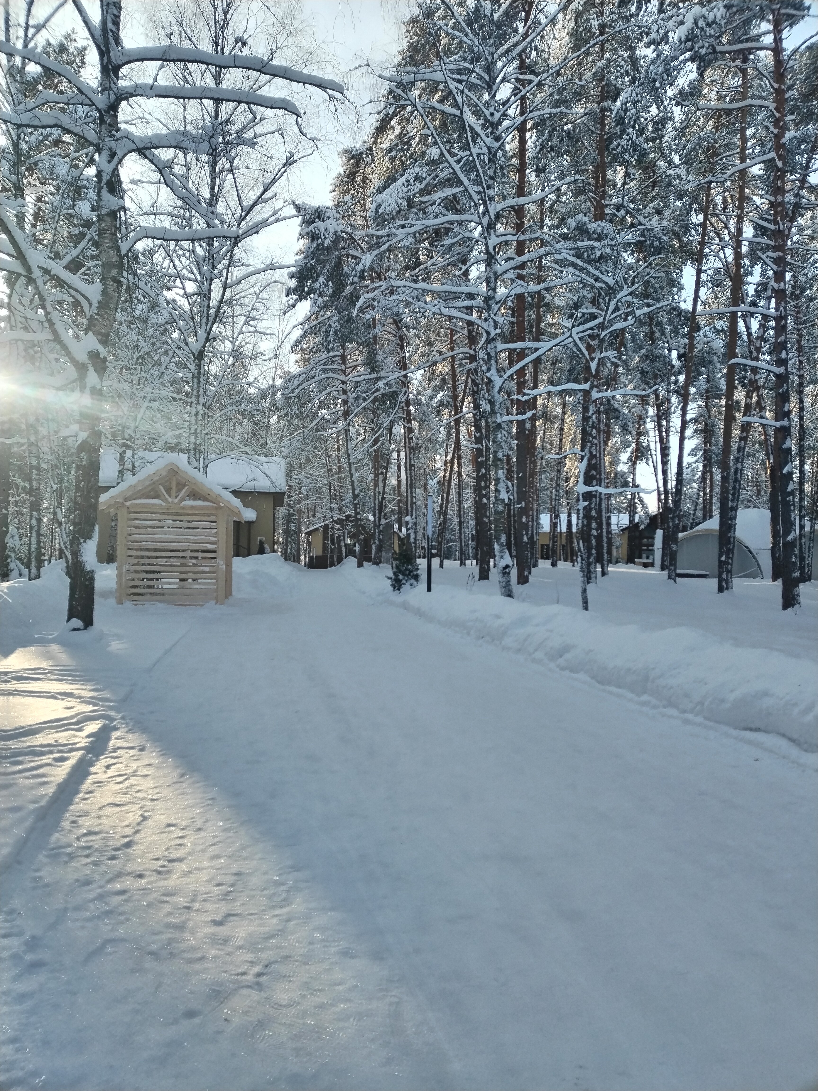 Фото Времена года в зелёном городе