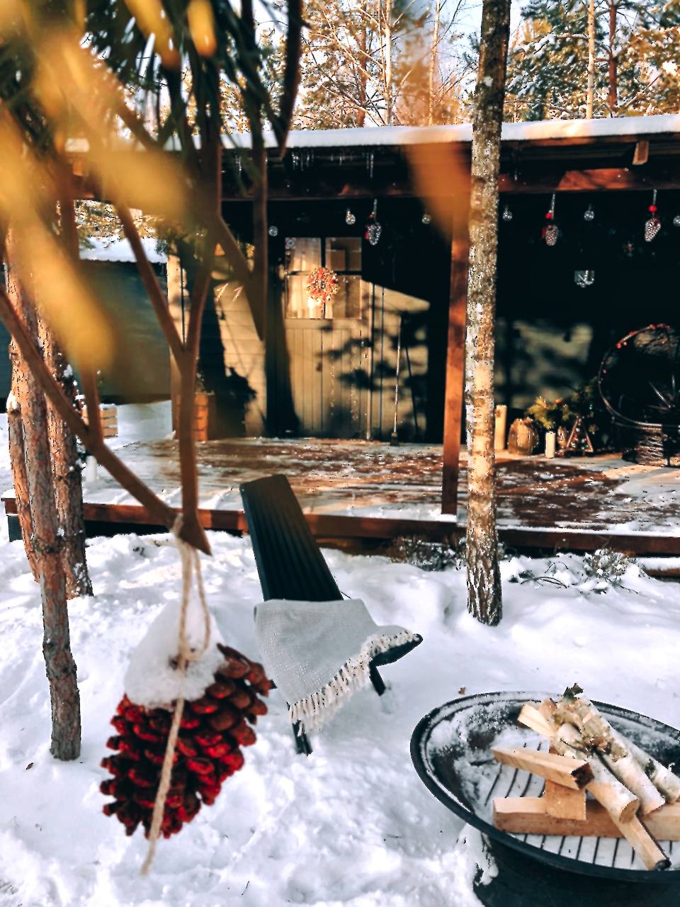 Фото TinyDacha можжевельник