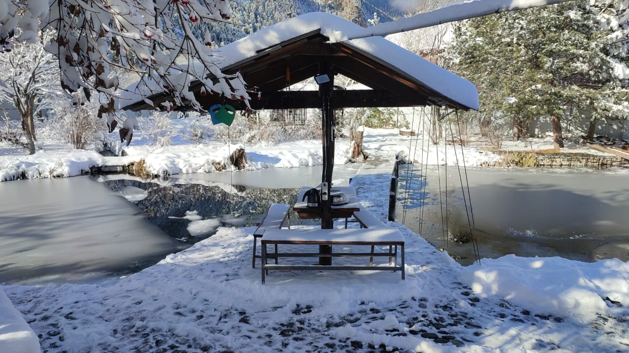 Фото Кипрей