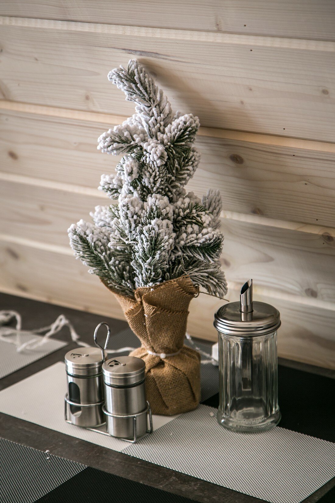 Фото СвяДанио