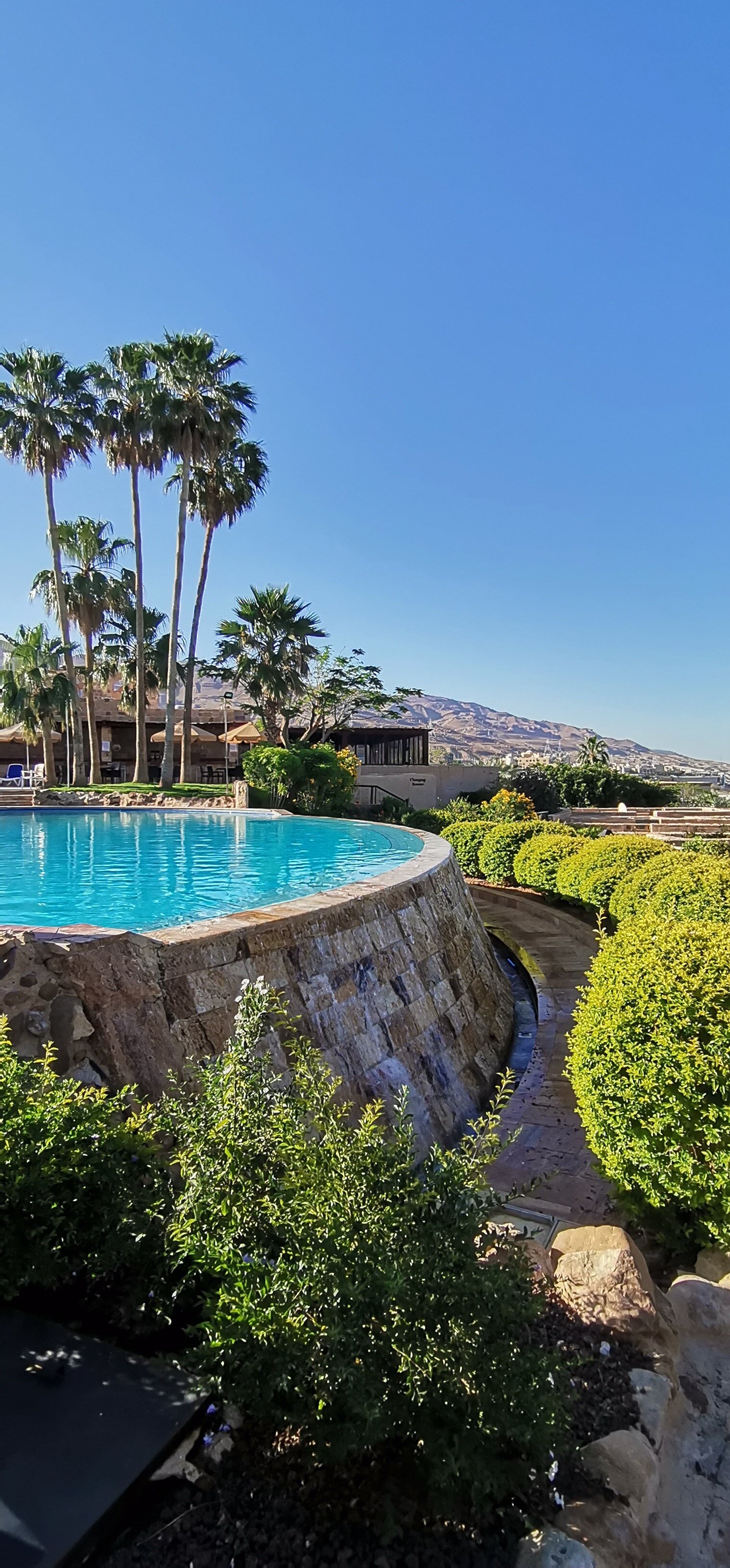 Фото Dead Sea SPA Resort