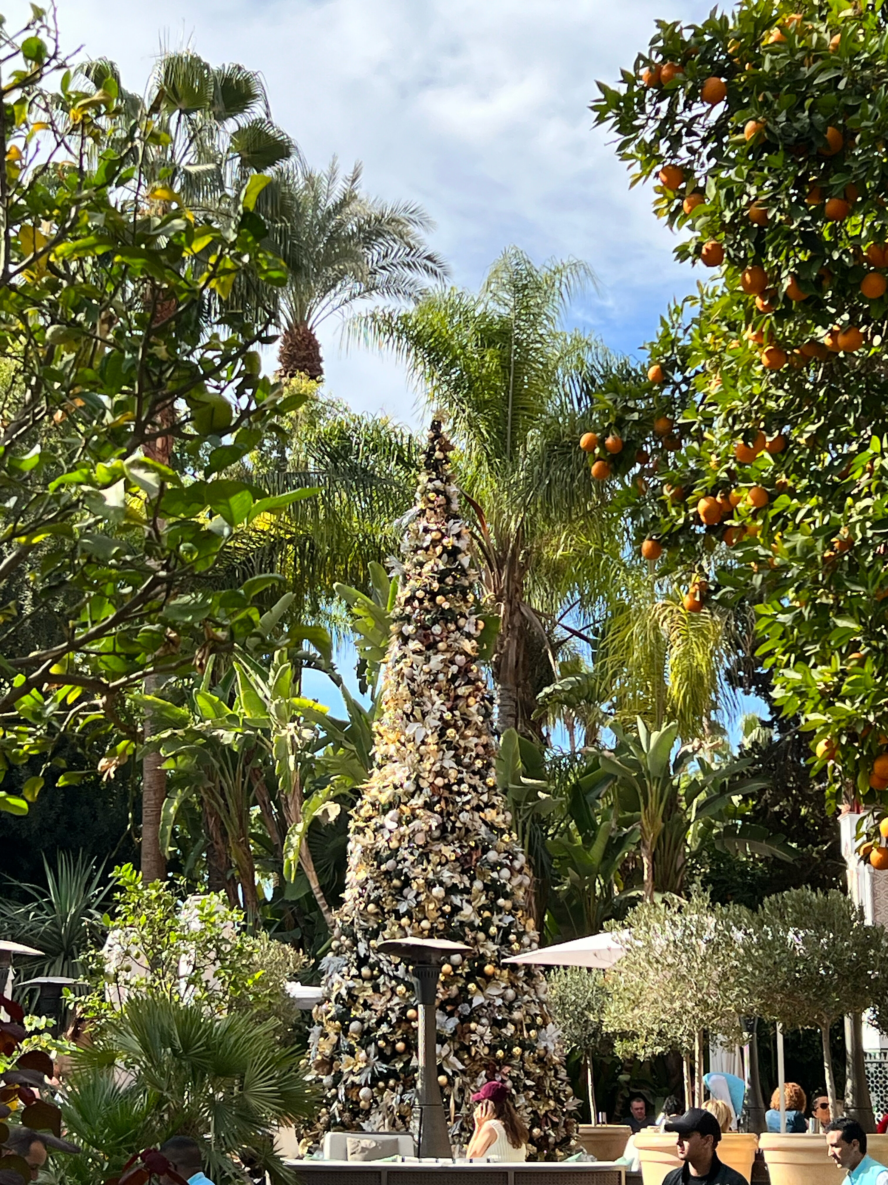 Фото La Mamounia