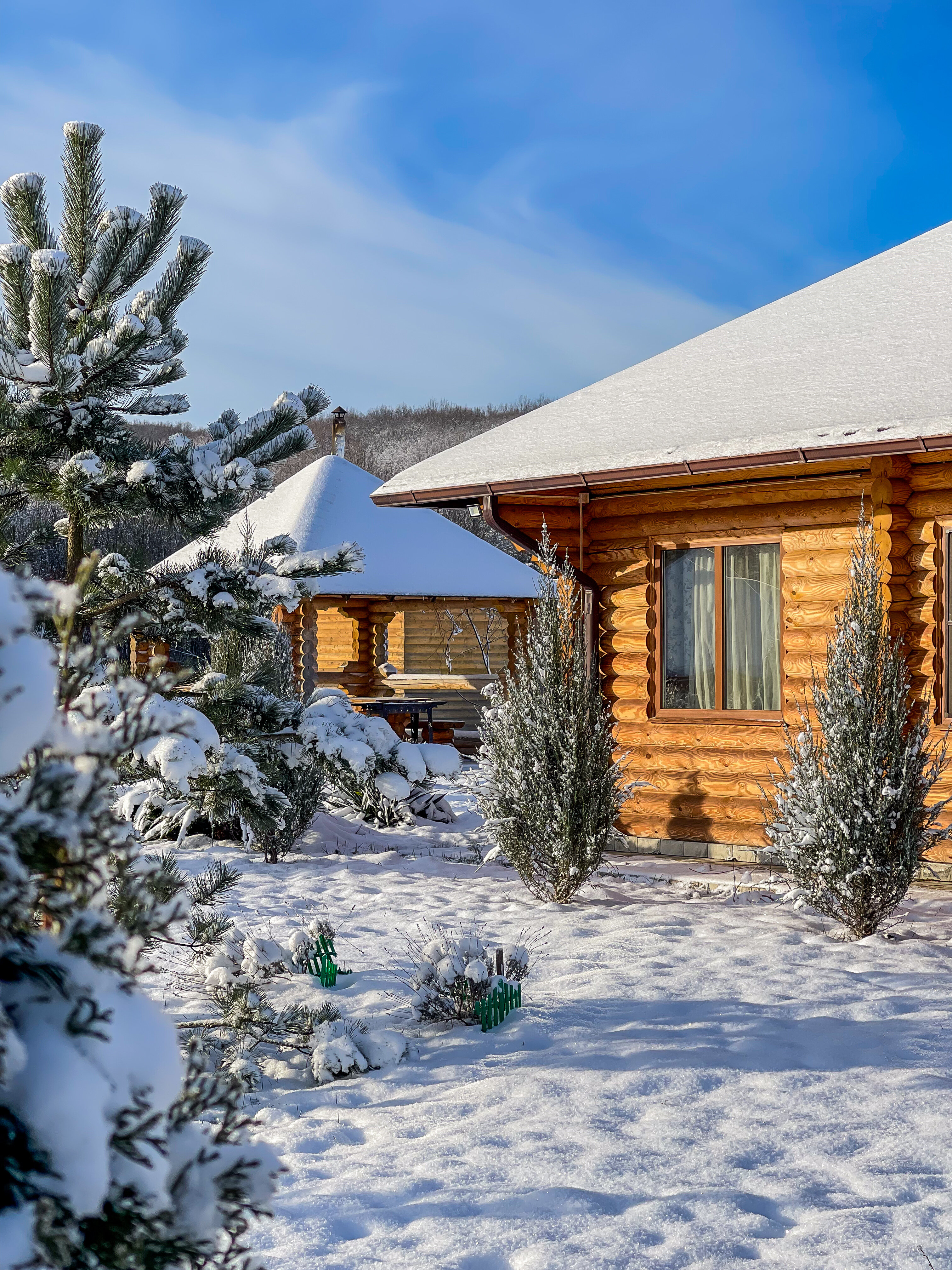 Фото Зеленые холмы