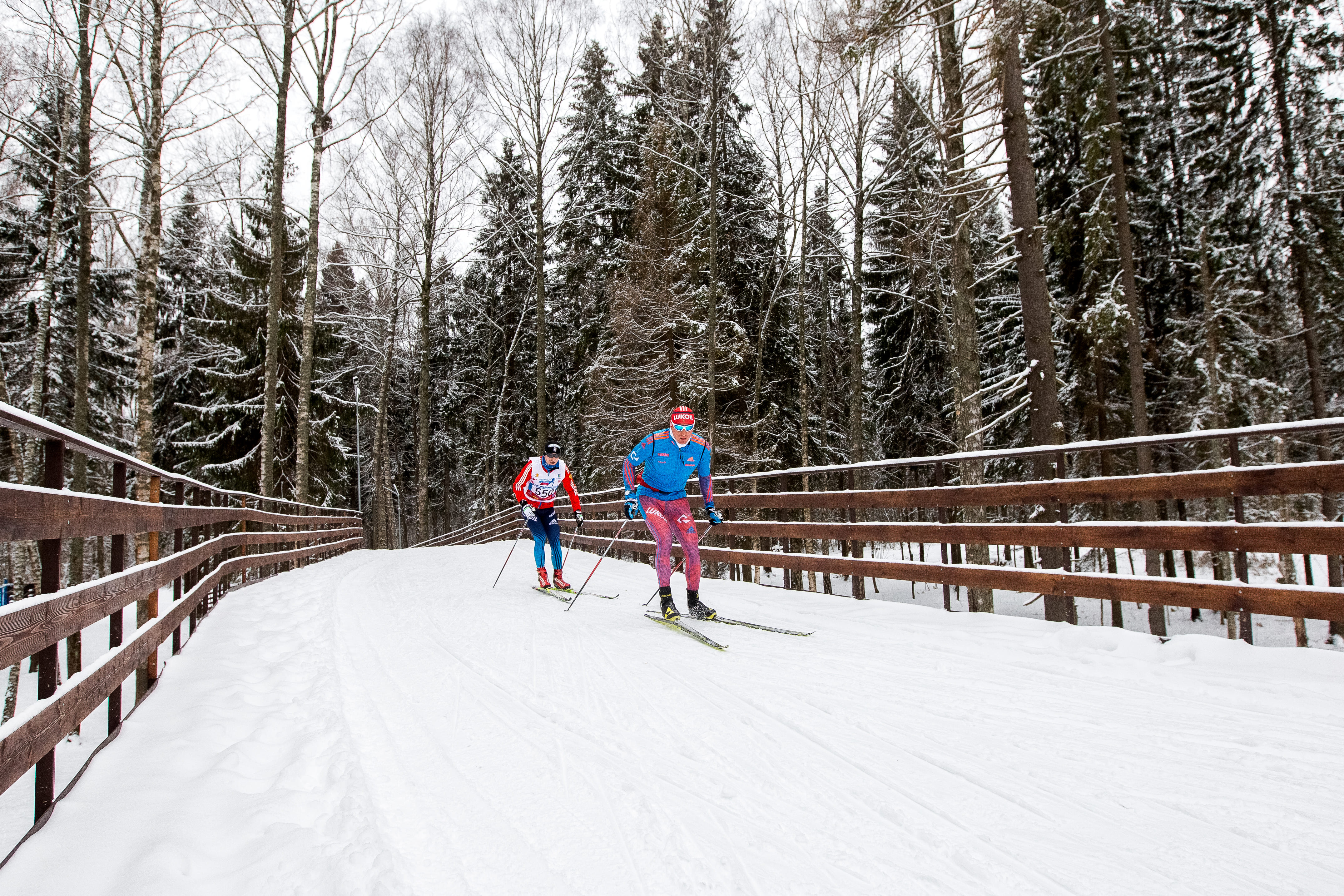 Фото Русские Сезоны Парк Отель Пересвет