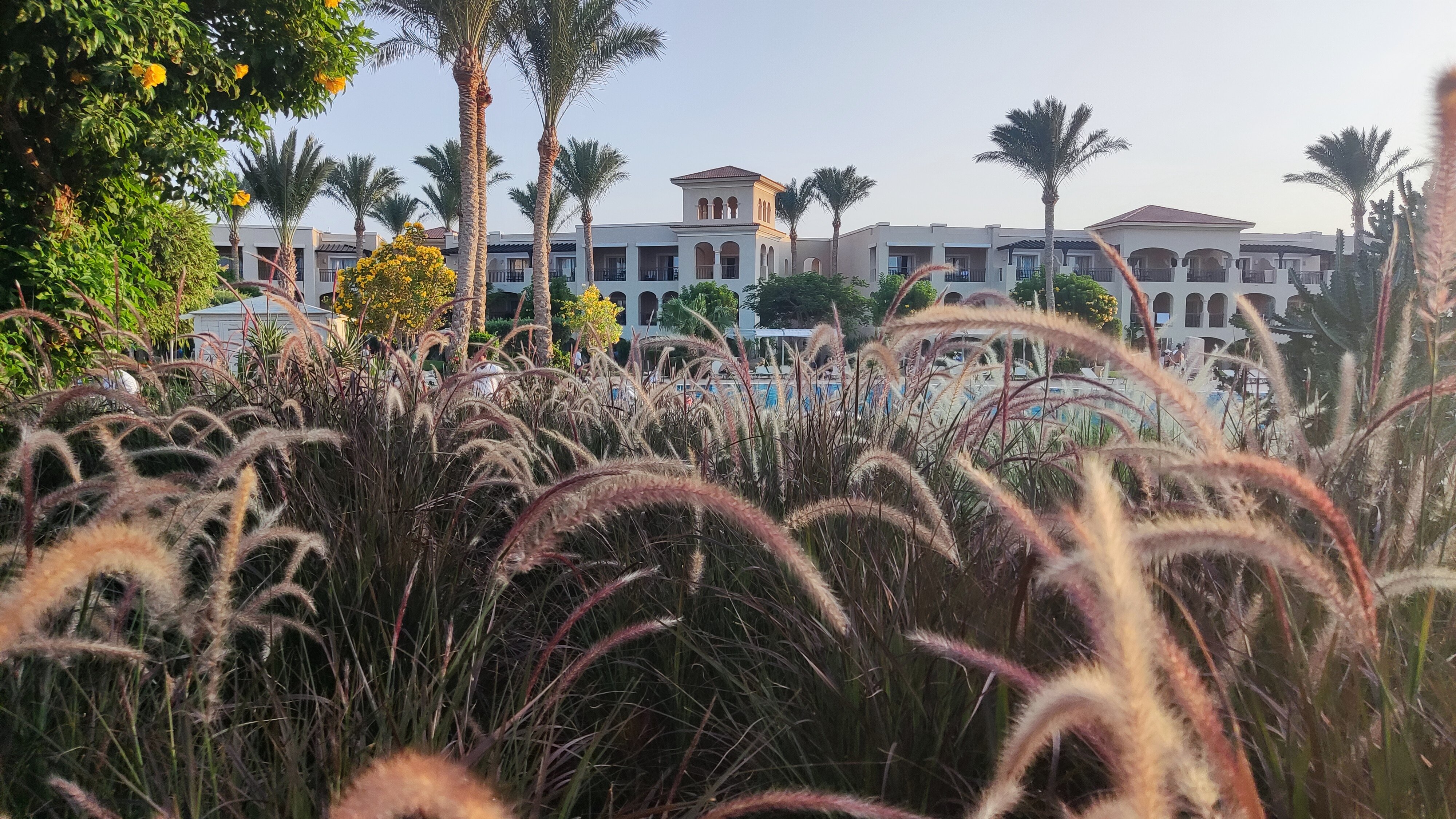 Фото Jaz Mirabel Beach