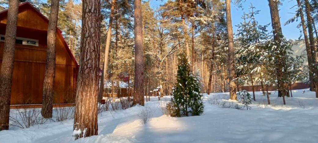 Фото Премьера