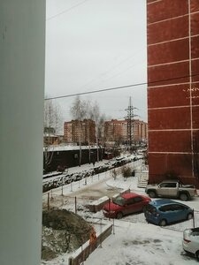 Визит