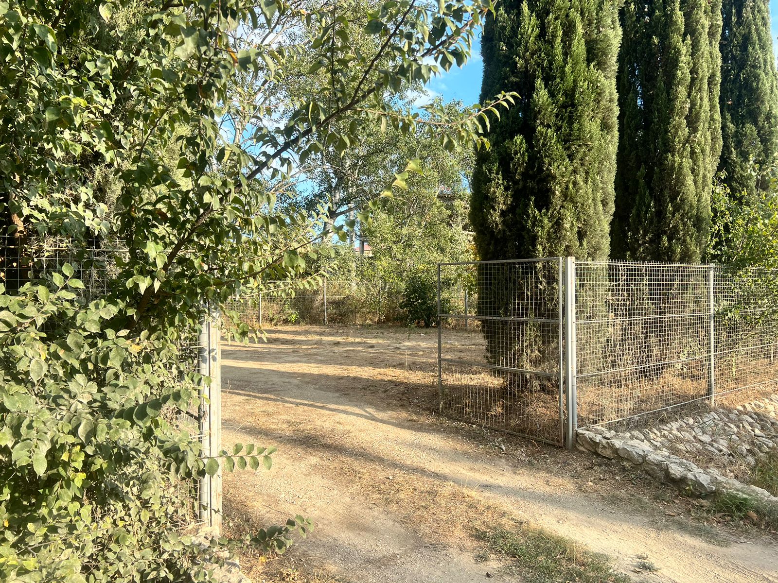 Фото Баттерфляй