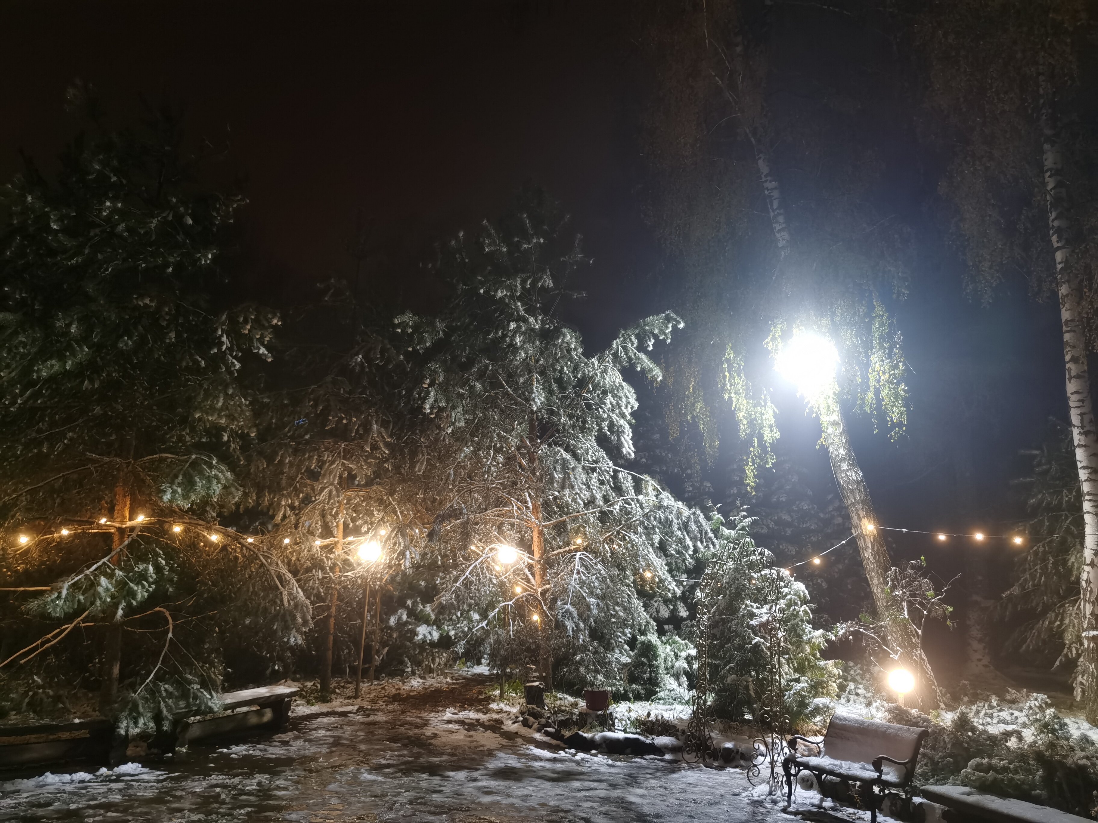 Фото Русский лес