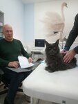 Alfa Vet (Pionerov Street, 1), clínica veterinaria