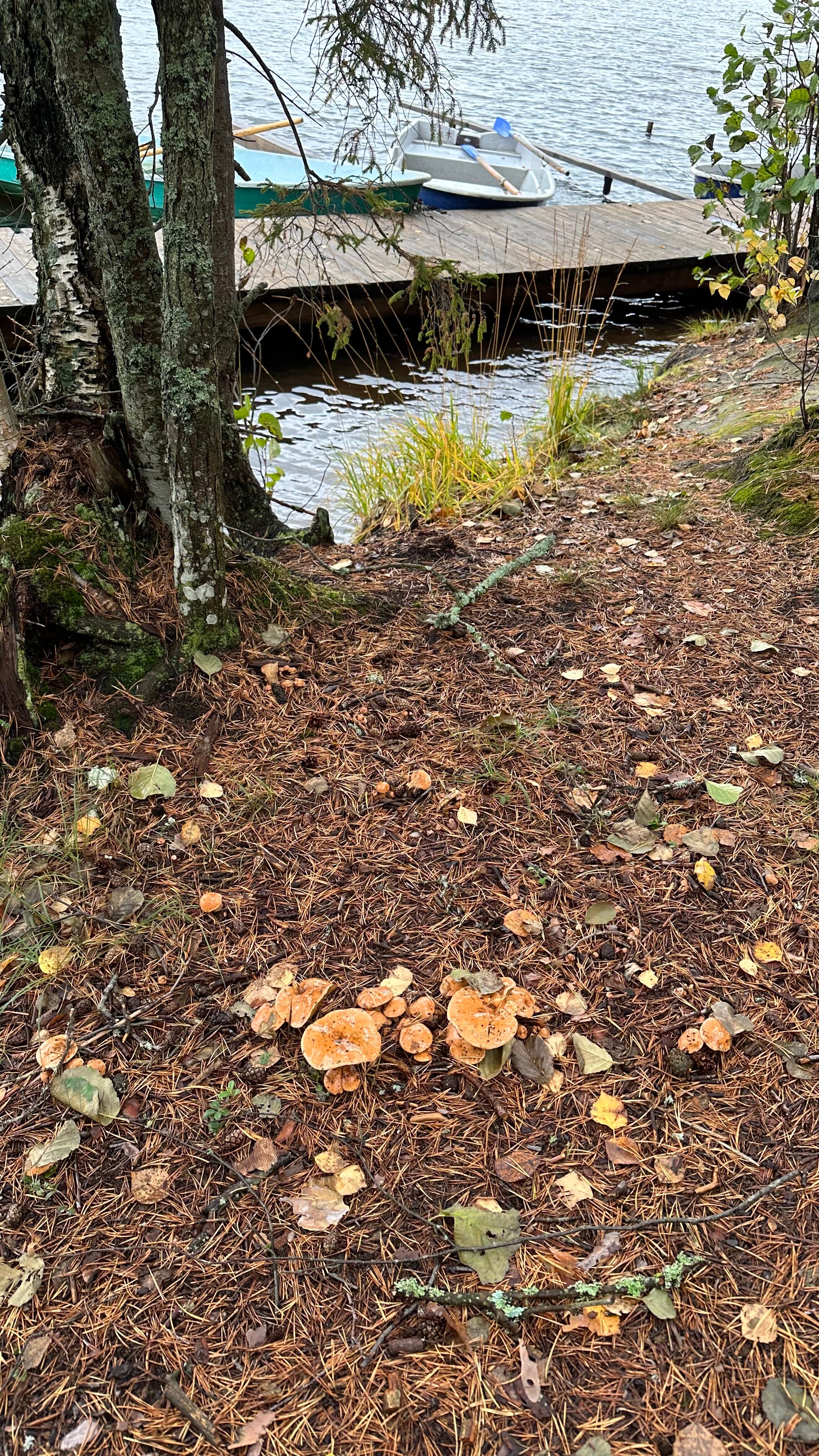 Фото Свирская слобода