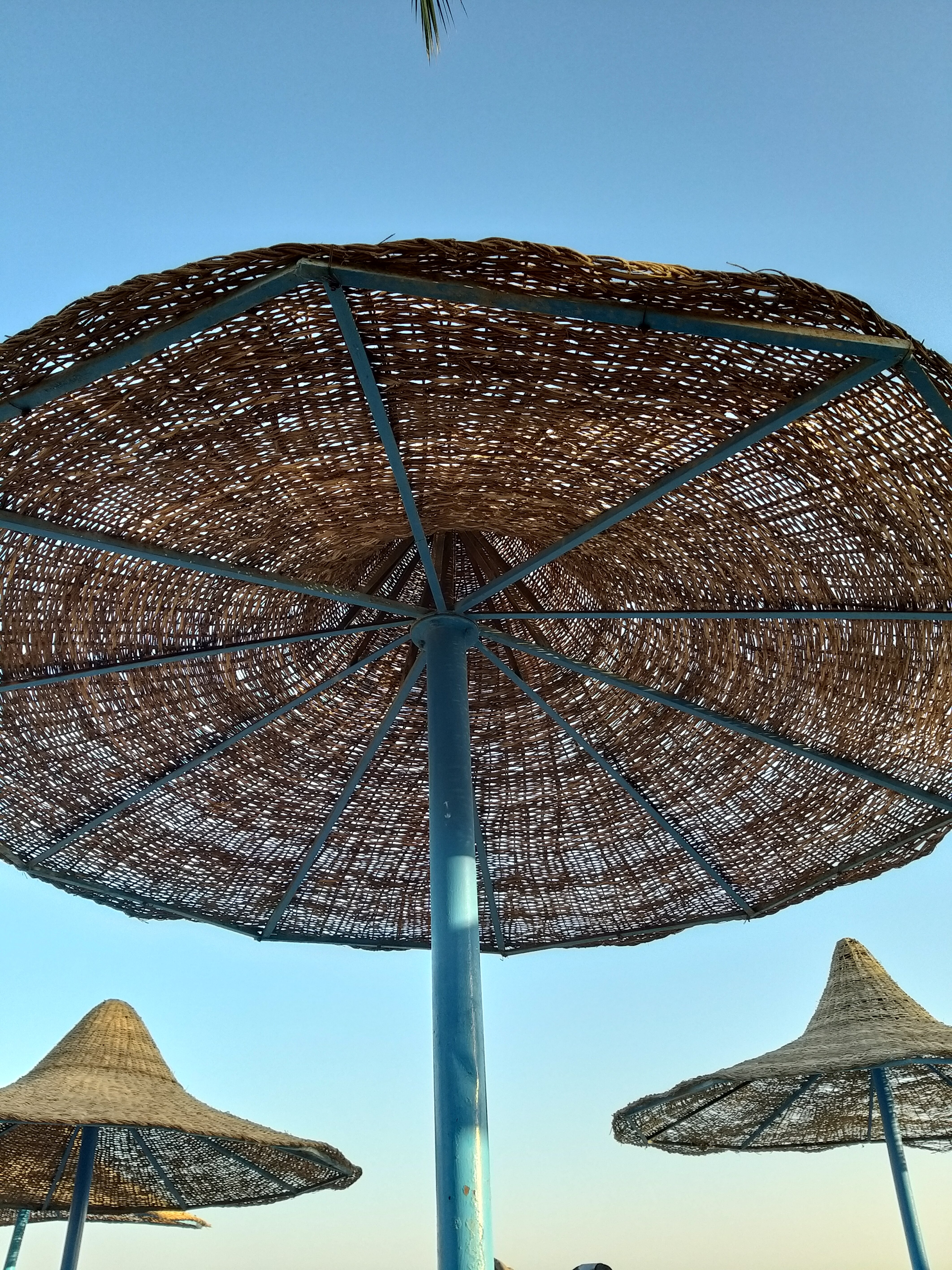 Фото Marlin Inn Azur Resort