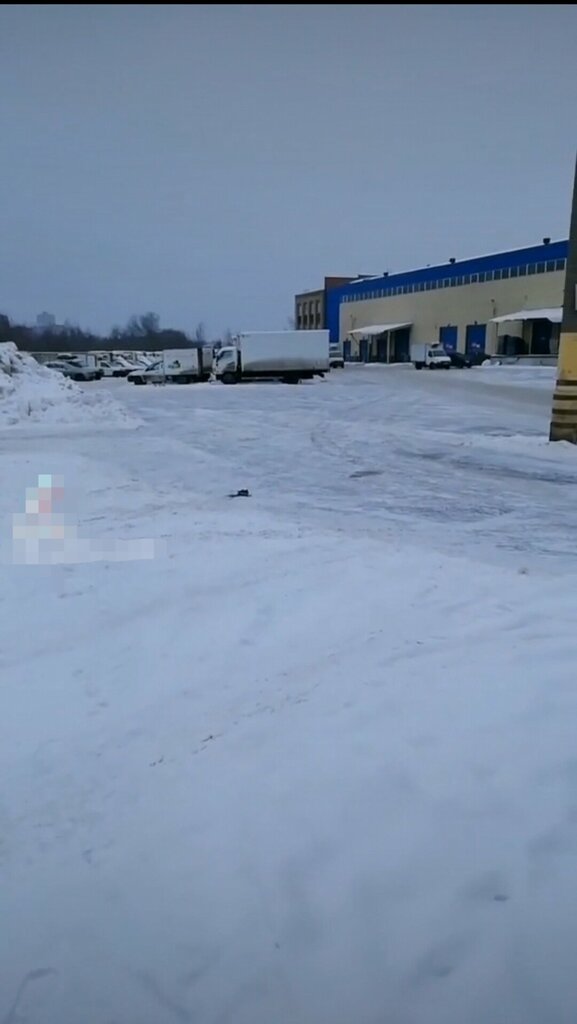 Warehouse services Склад фирмы Август, Kotelniki, photo