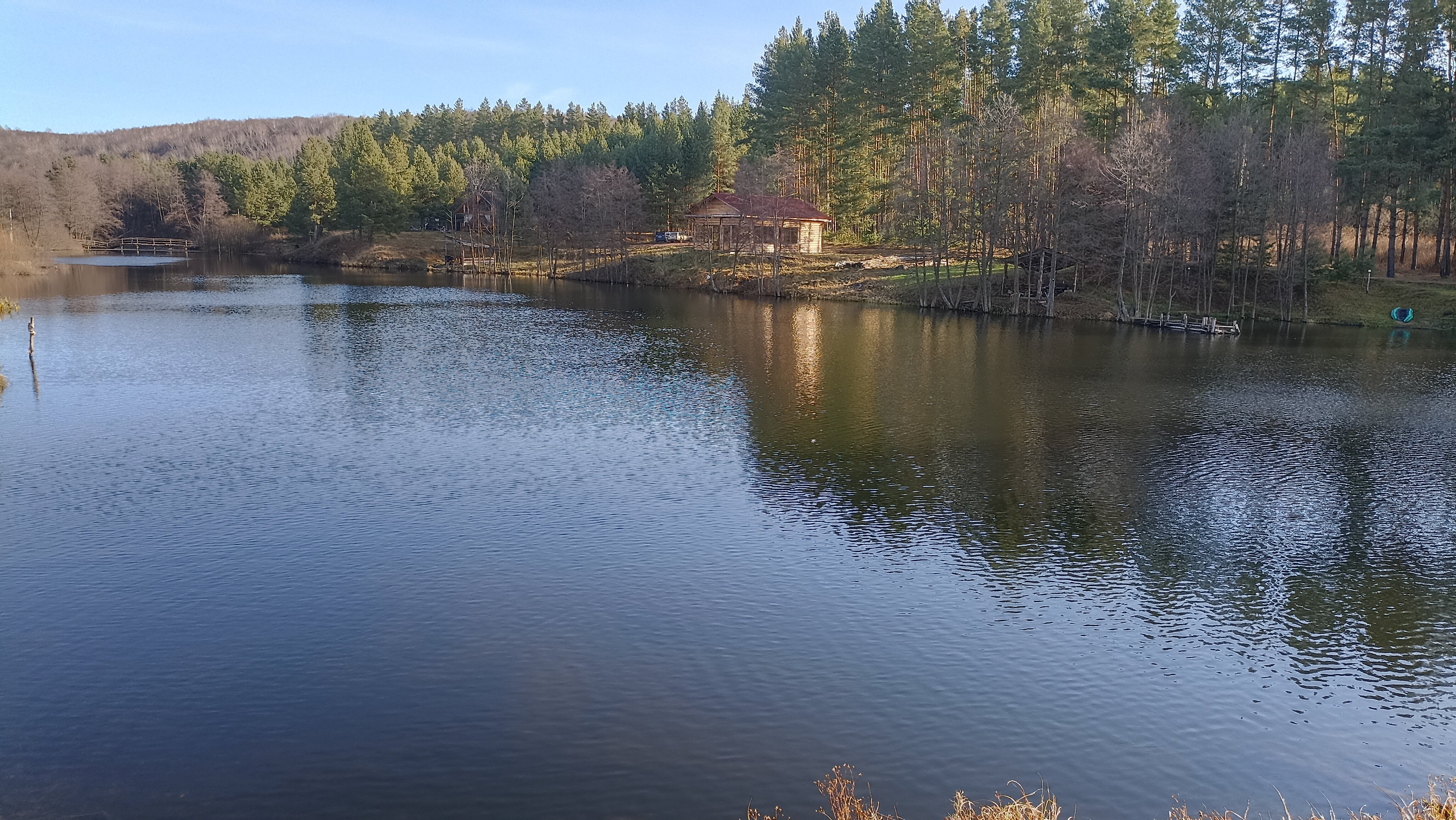 Фото Парк Чёшталей