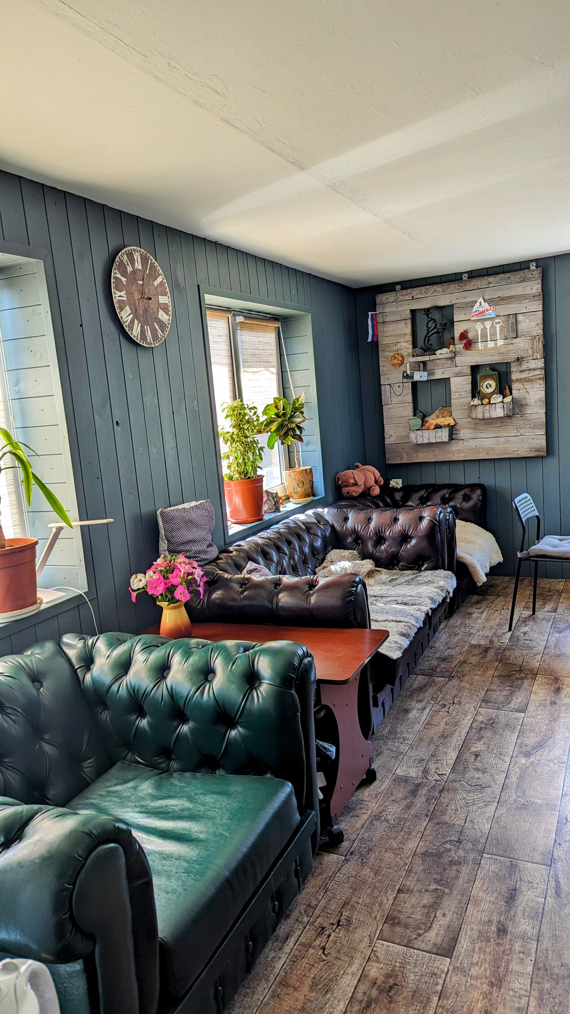 Фото Дикая Вишня