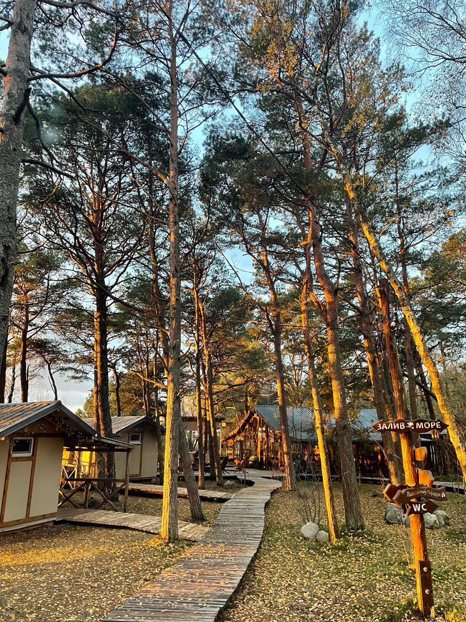 Фото Куршале