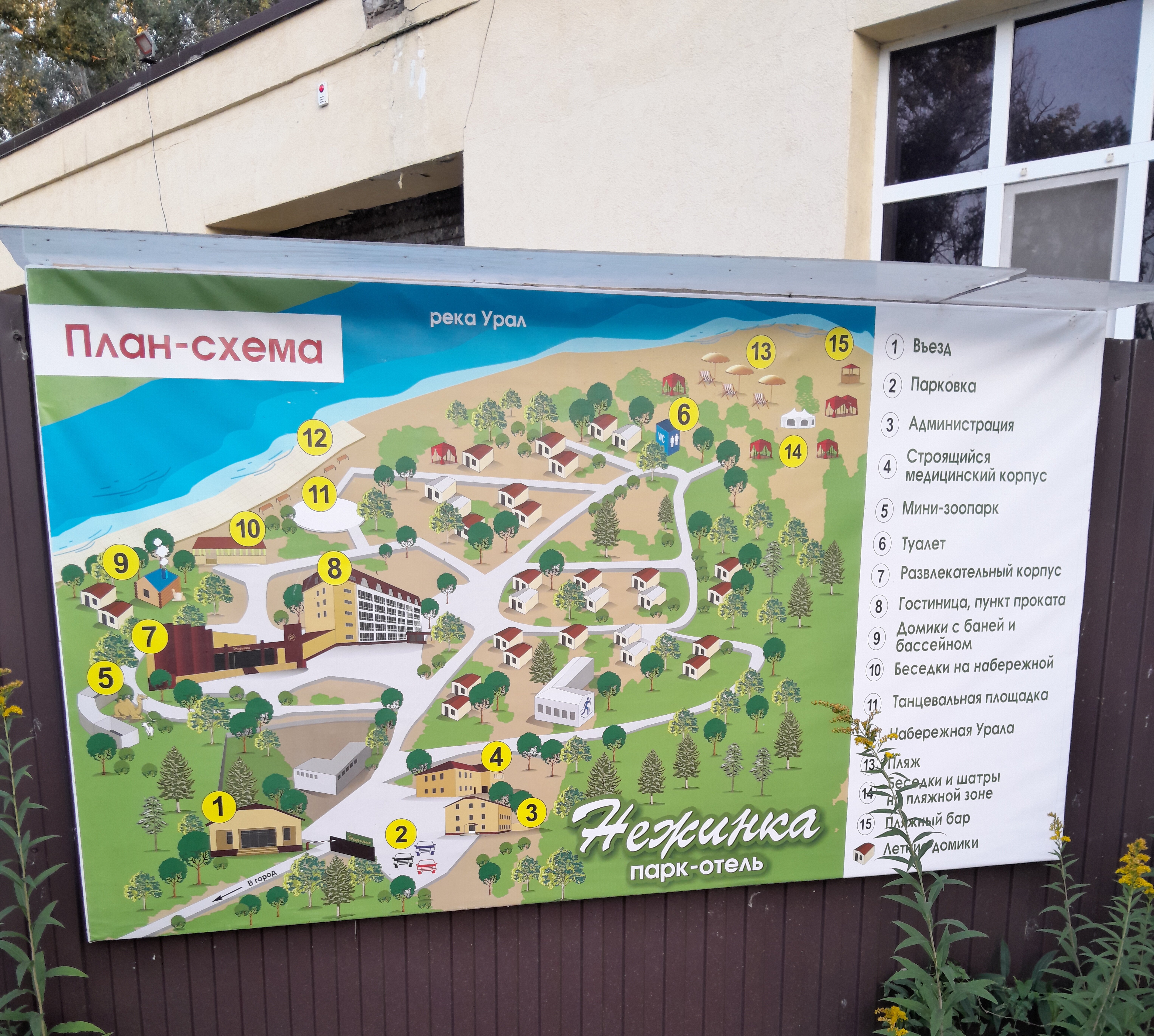 Фото Нежинка