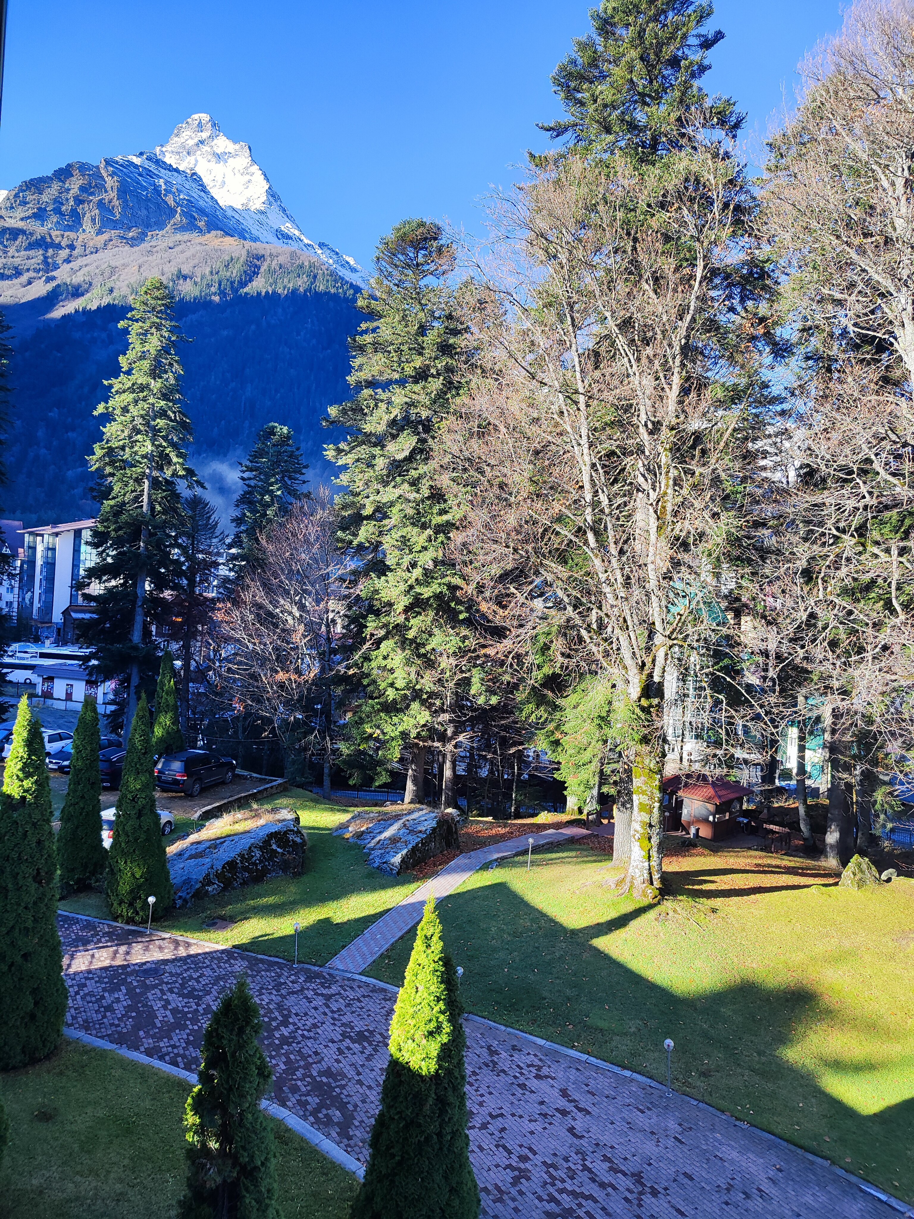 Фото Белалакая