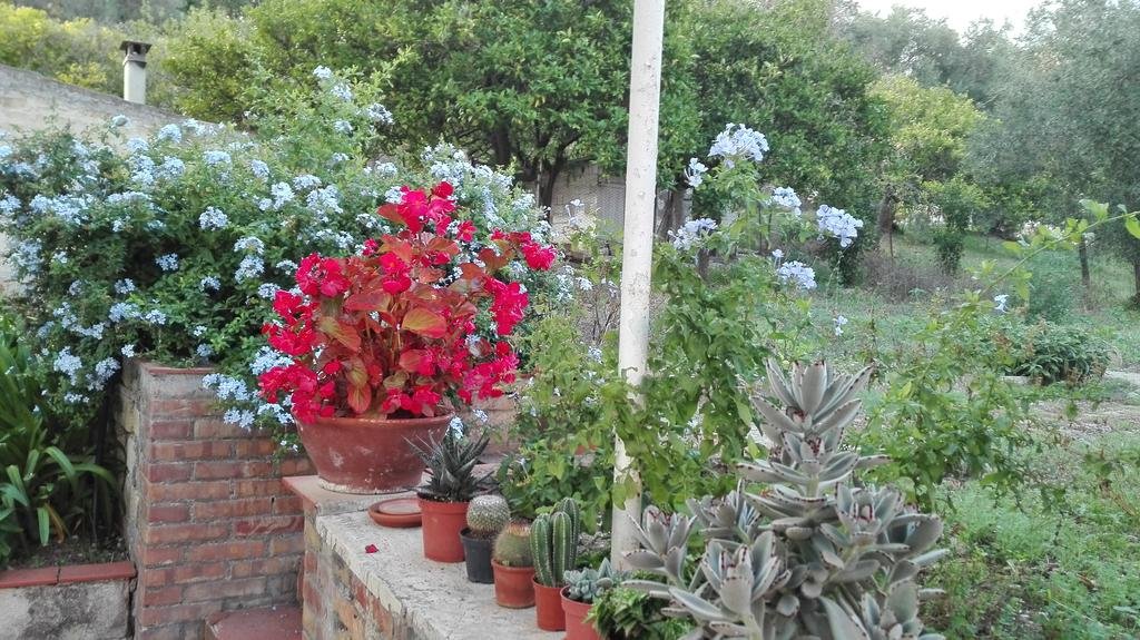 Фото Camere Riviera di Ulisse