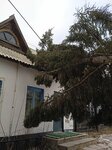 Павловский район Павловские Электрические Сети (selo Pavlovsk, ulitsa Zagaynova, 3), real estate agency