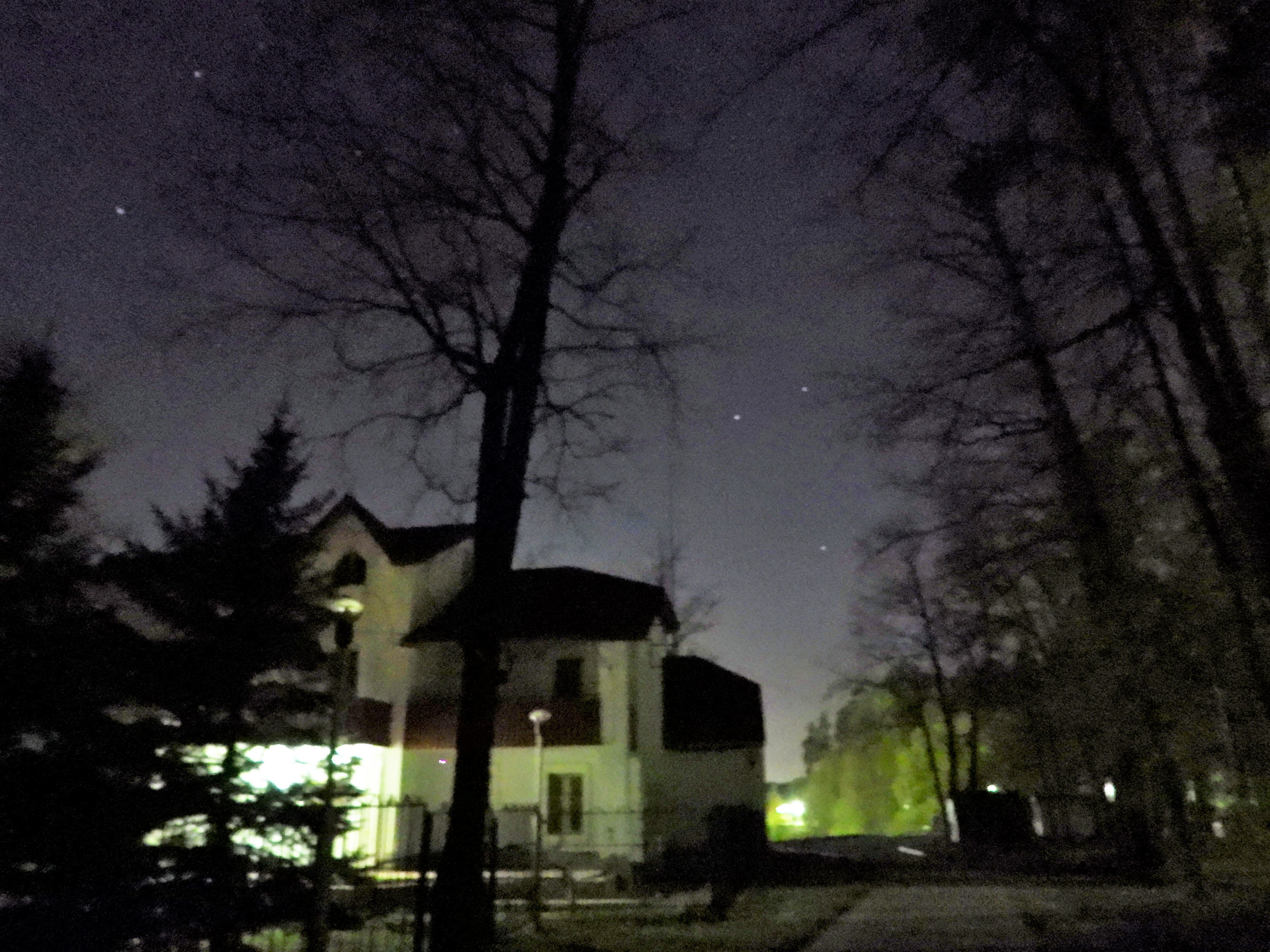 Фото Лесная