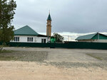 Мечеть (stantsiya Tsvillinga, Elevatornaya ulitsa, 1), mosque