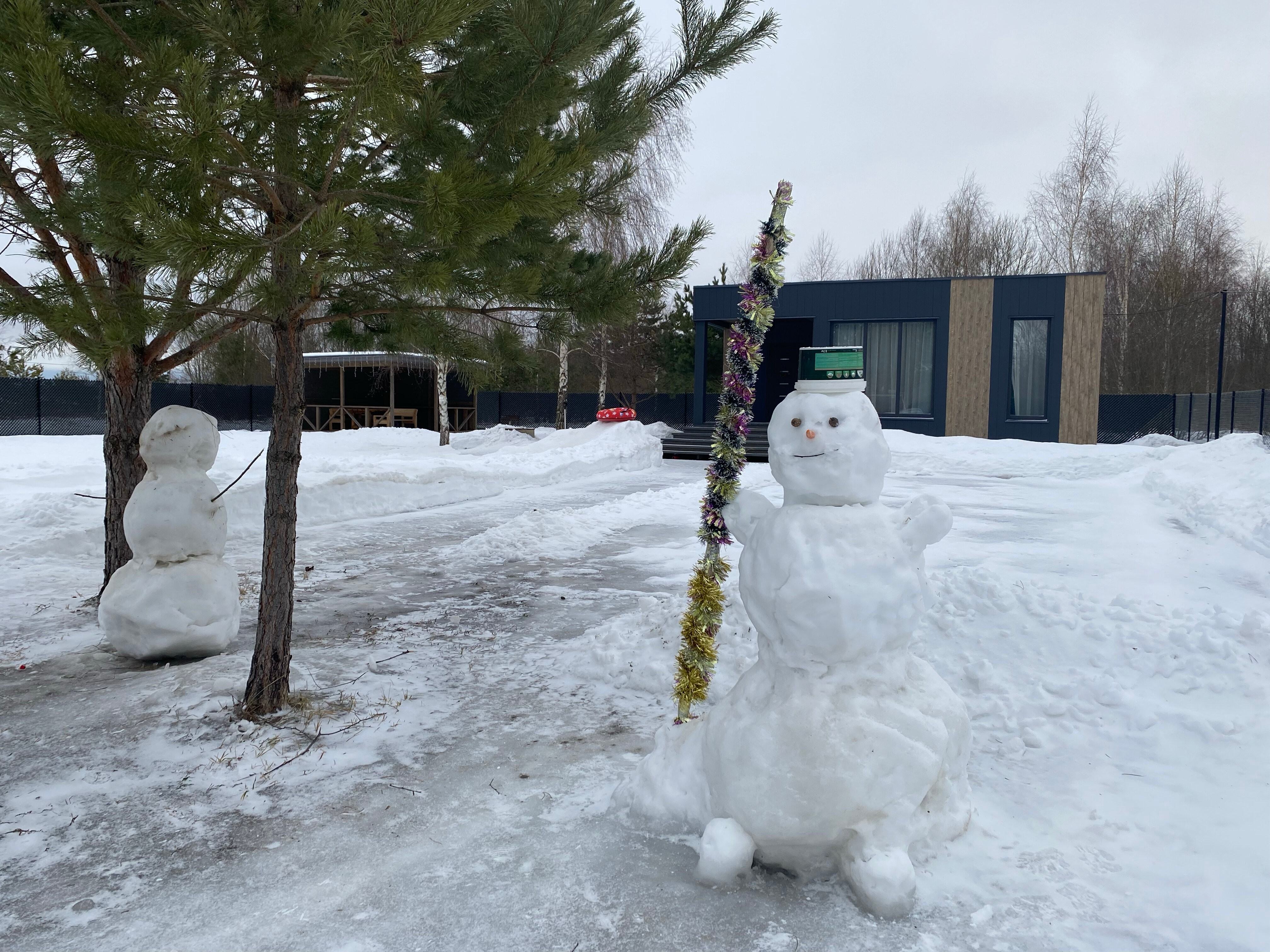 Фото Сканди куб