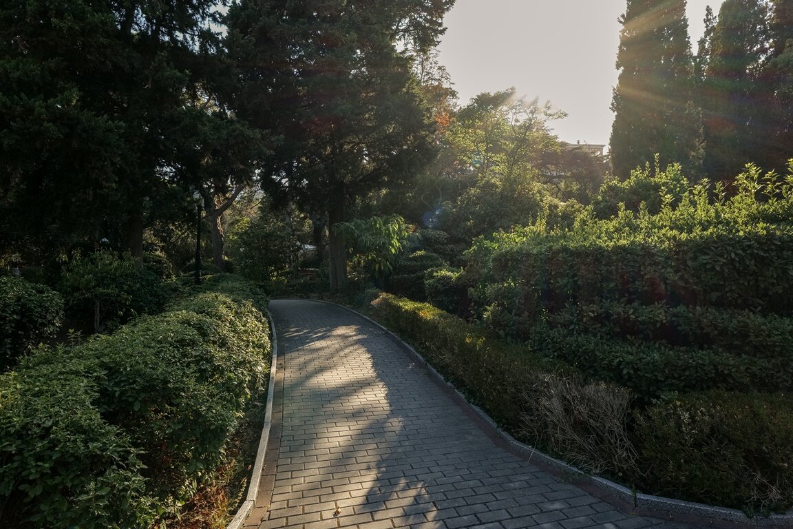 Фото Пушкино