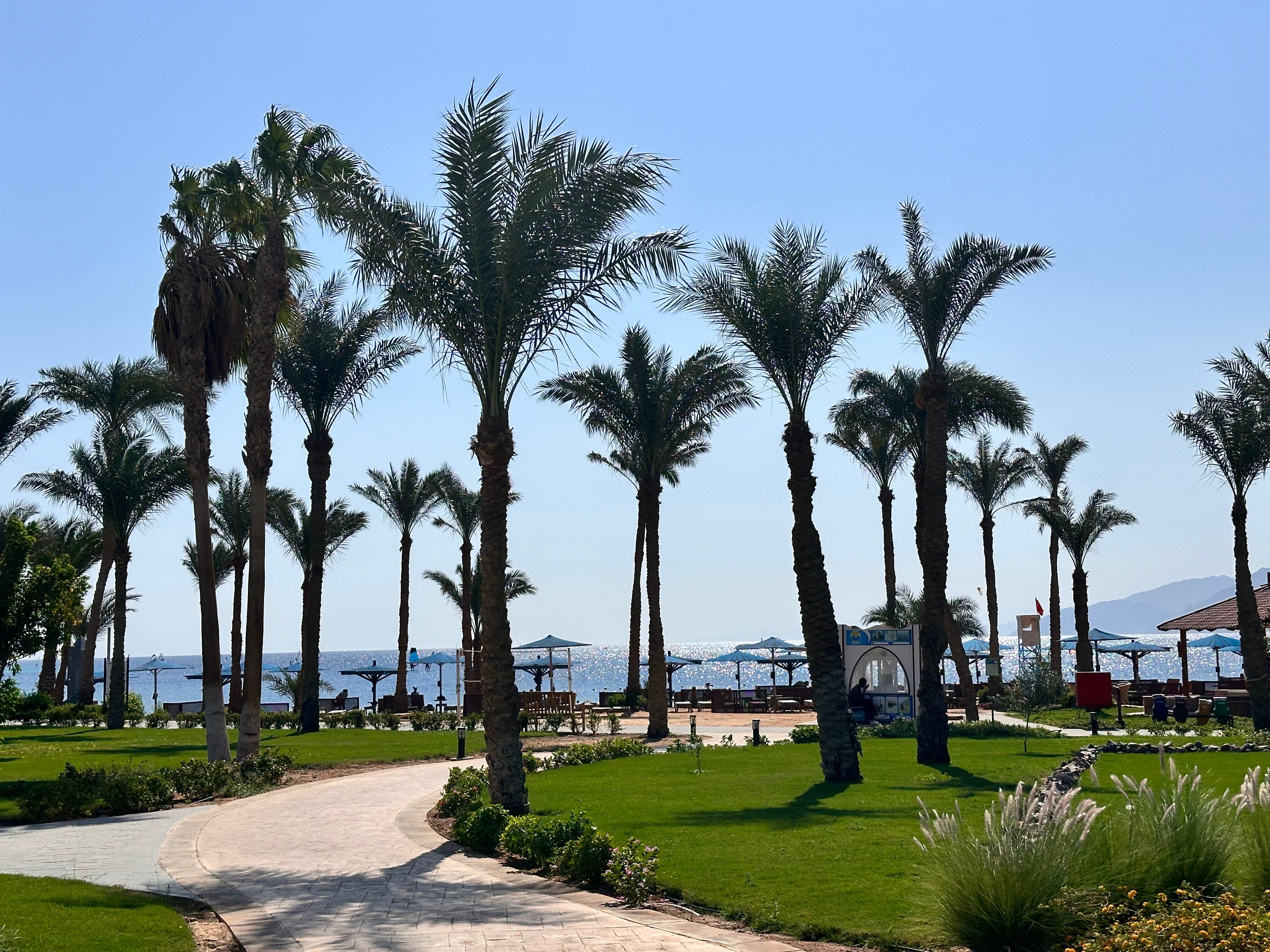 Фото Safir Dahab Egypt