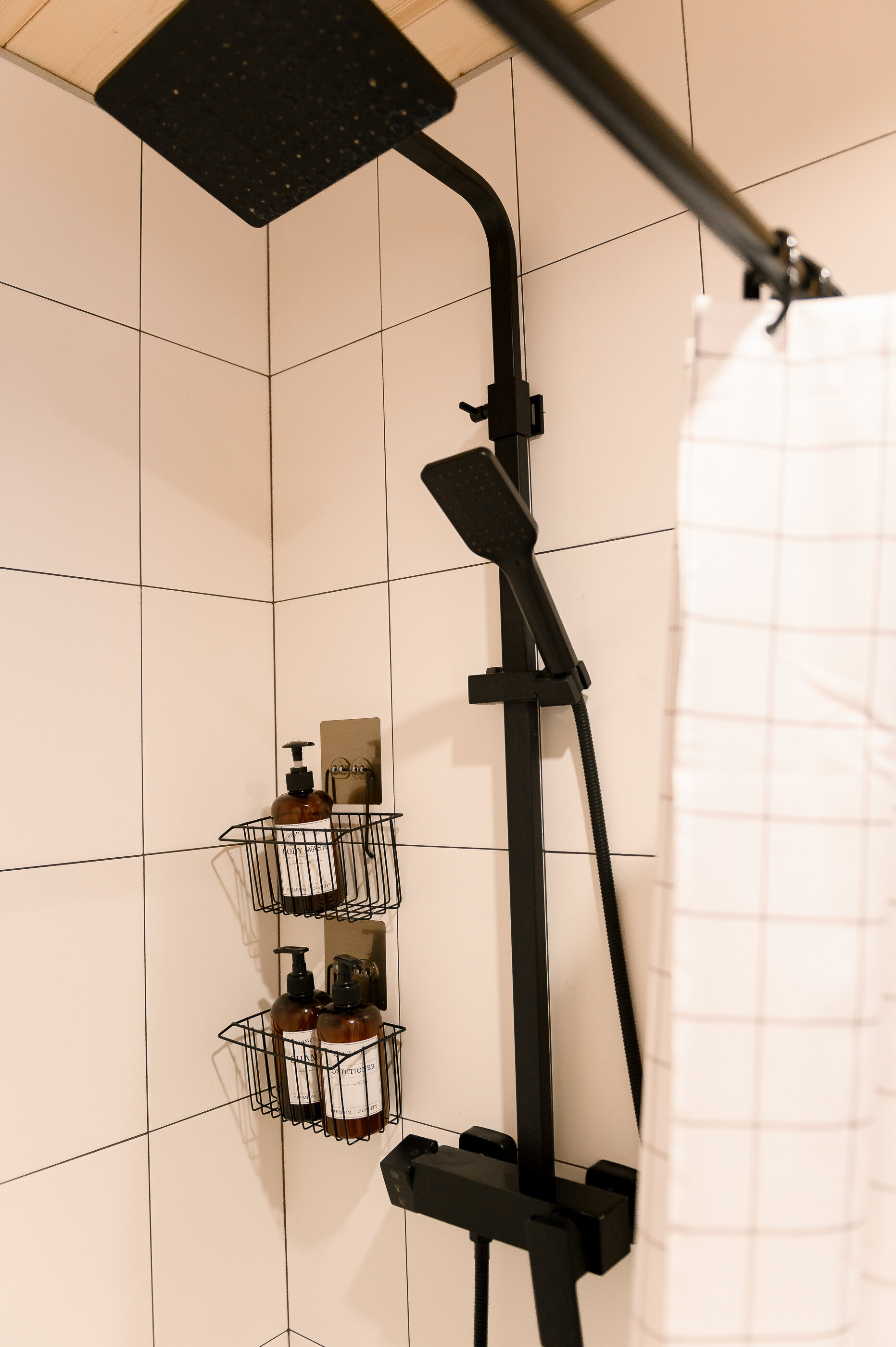 Фото Место под соснами