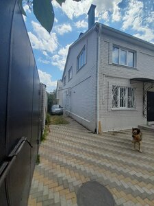 Maxi House