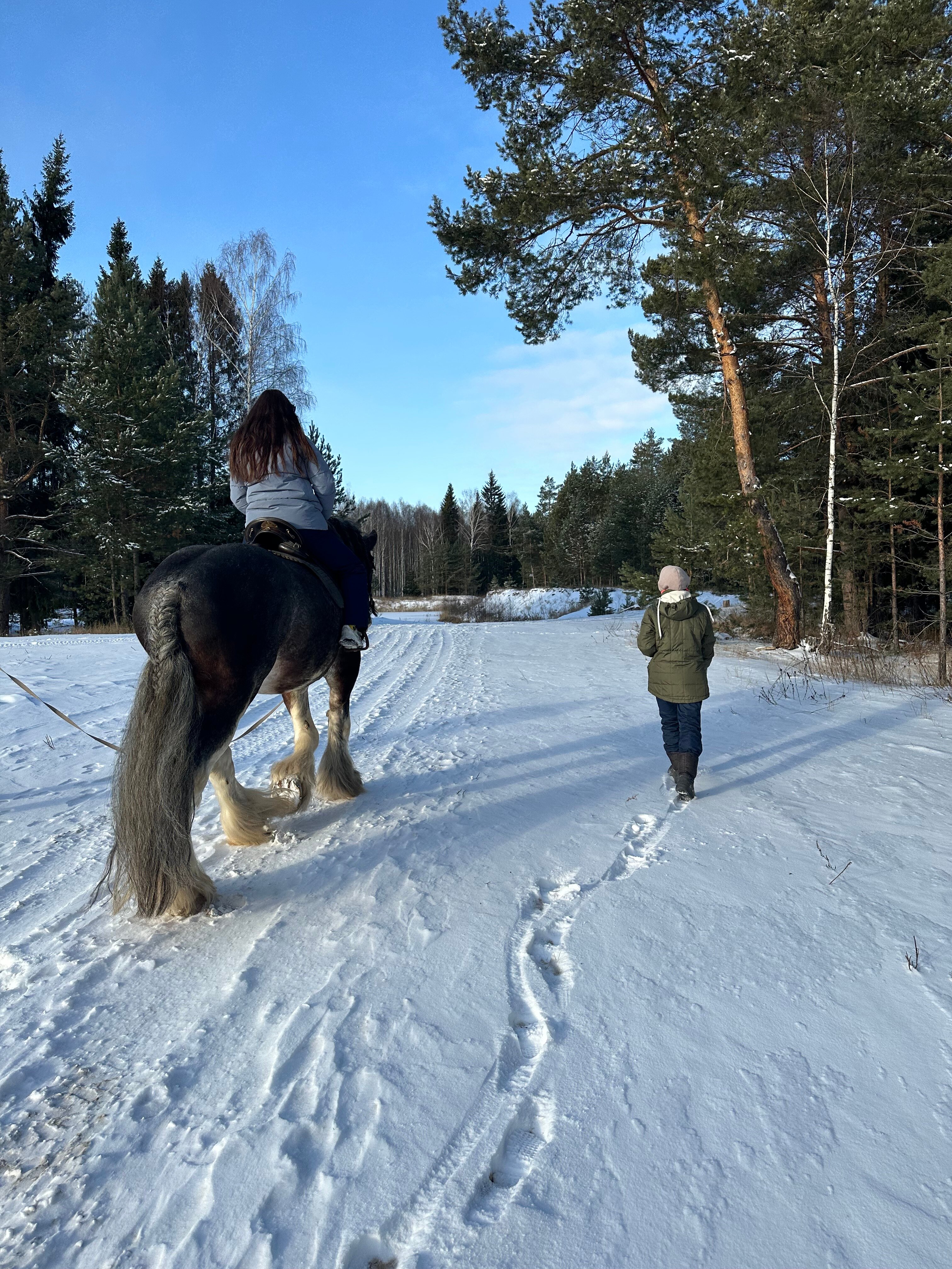 Фото Нартаван