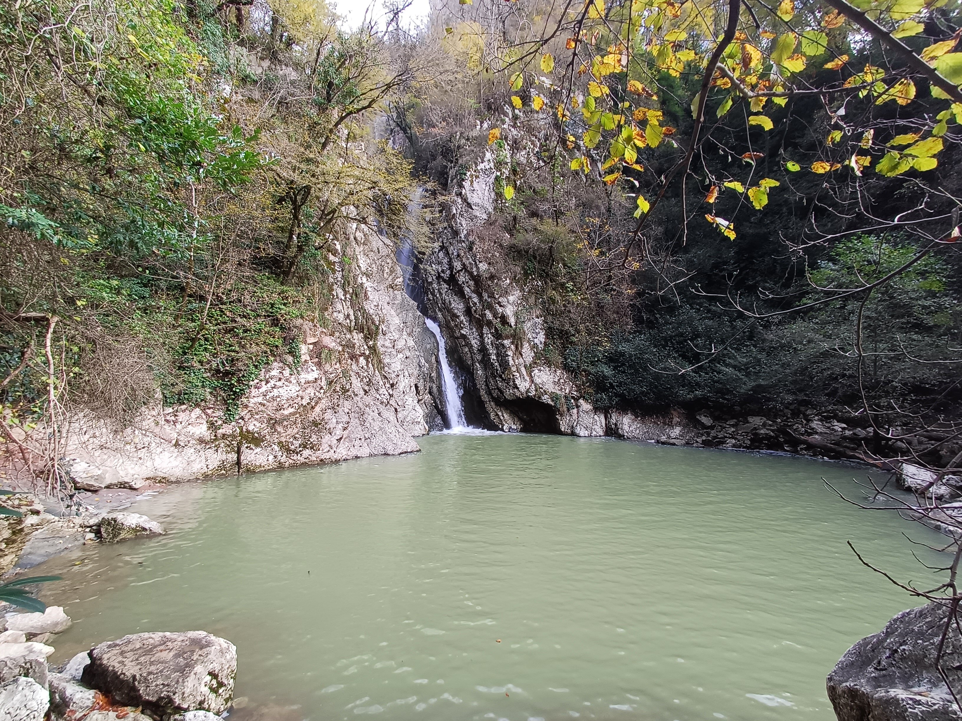 Фото Зелёная роща