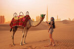 Go Go Desert Safari (57/2, Marasi Drive Street, Business Bay, Dubai), excursions