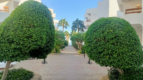 Гостиница Marlin Inn Azur Resort в Хургаде