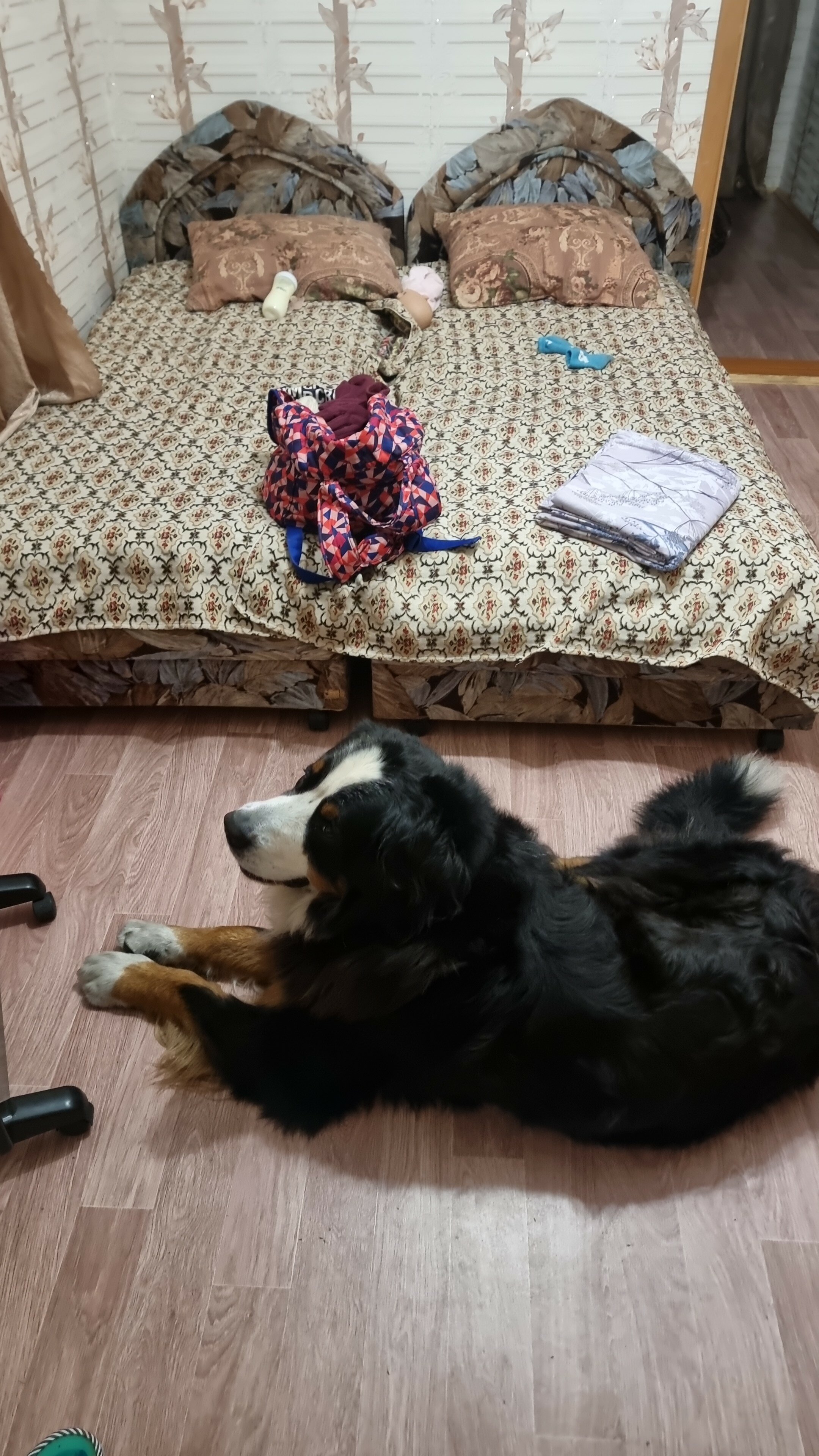 Фото Аршанская фазенда