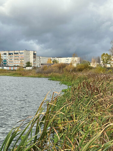 Yuqori poshnali porno video