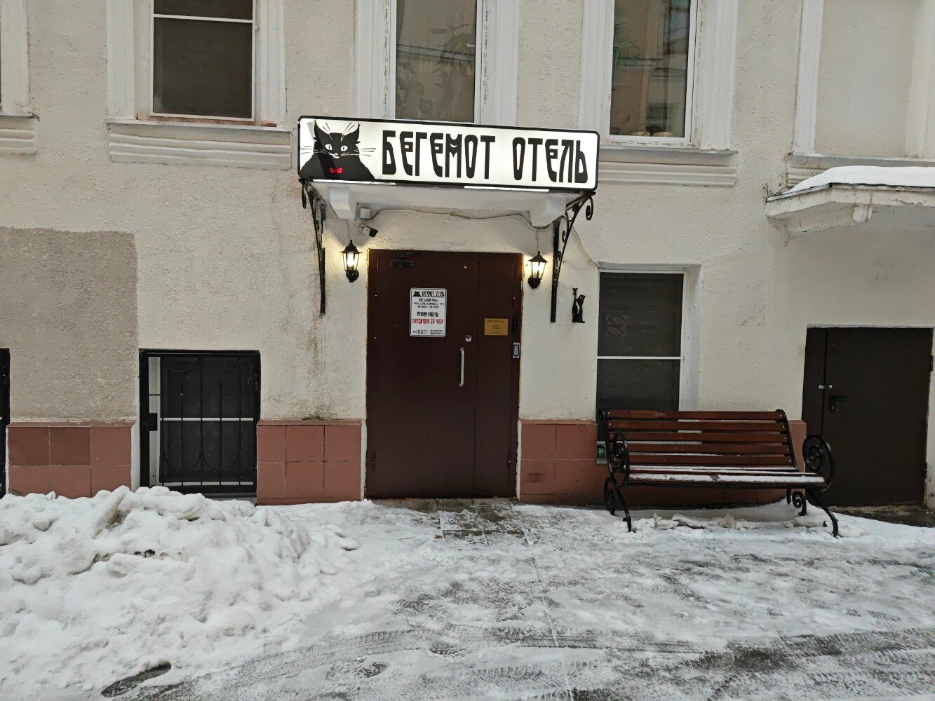 Фото Бегемот