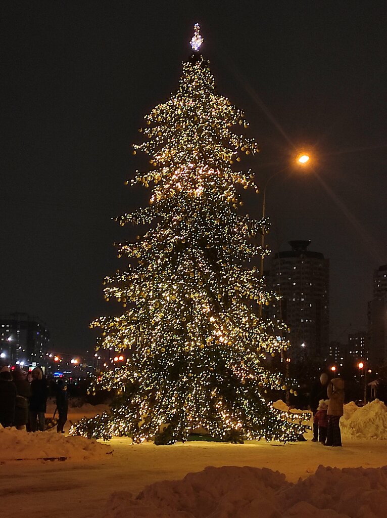 IP telefon hizmet sağlayıcıları Park im. Artema Borovika, Moskova, foto