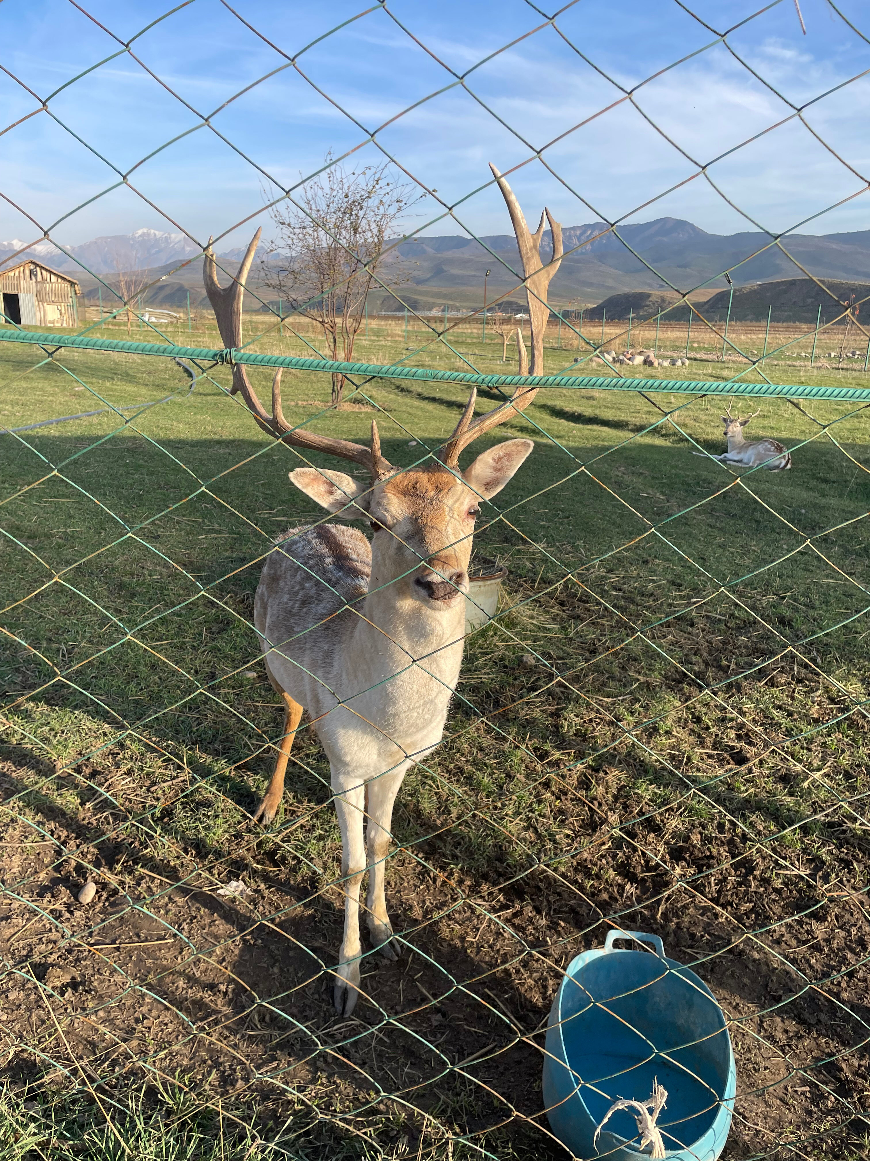 Фото Rano Eco Village