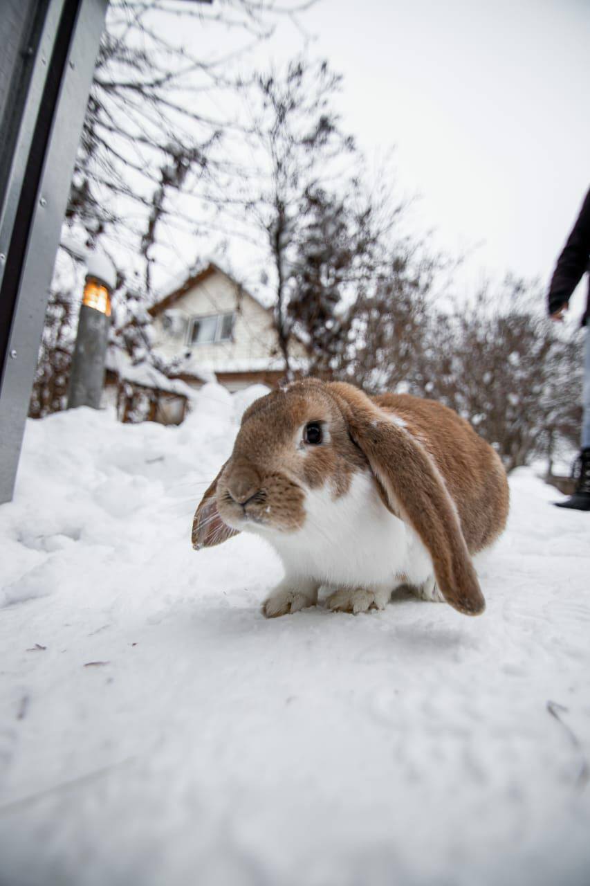Фото Усадьба