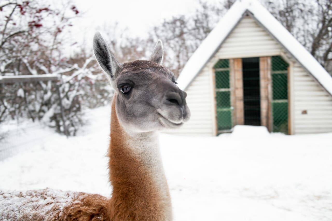 Фото Усадьба