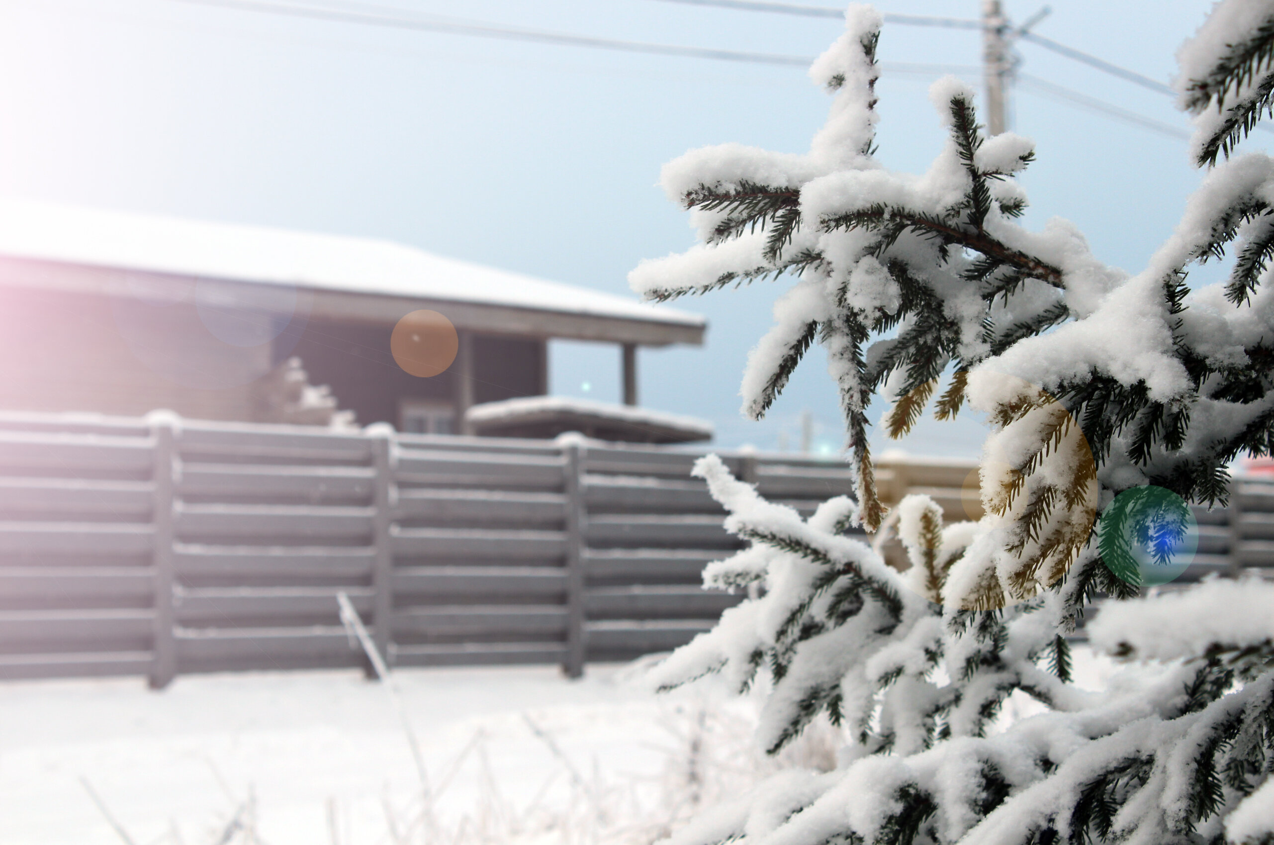 Фото Гнездо