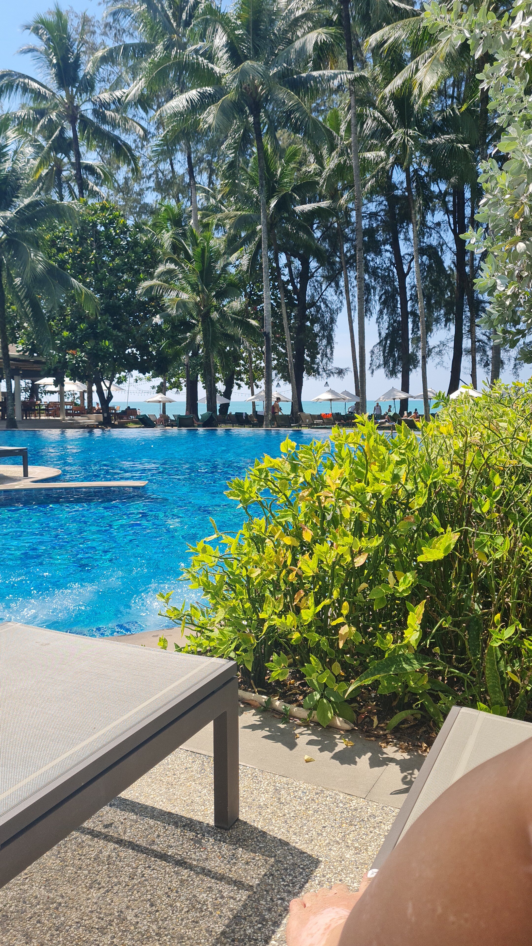 Фото Hotel Royal Bangsak Beach Resort