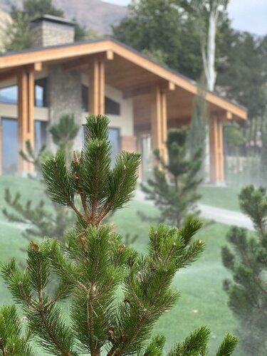 Дом отдыха Burchmulla Resorts