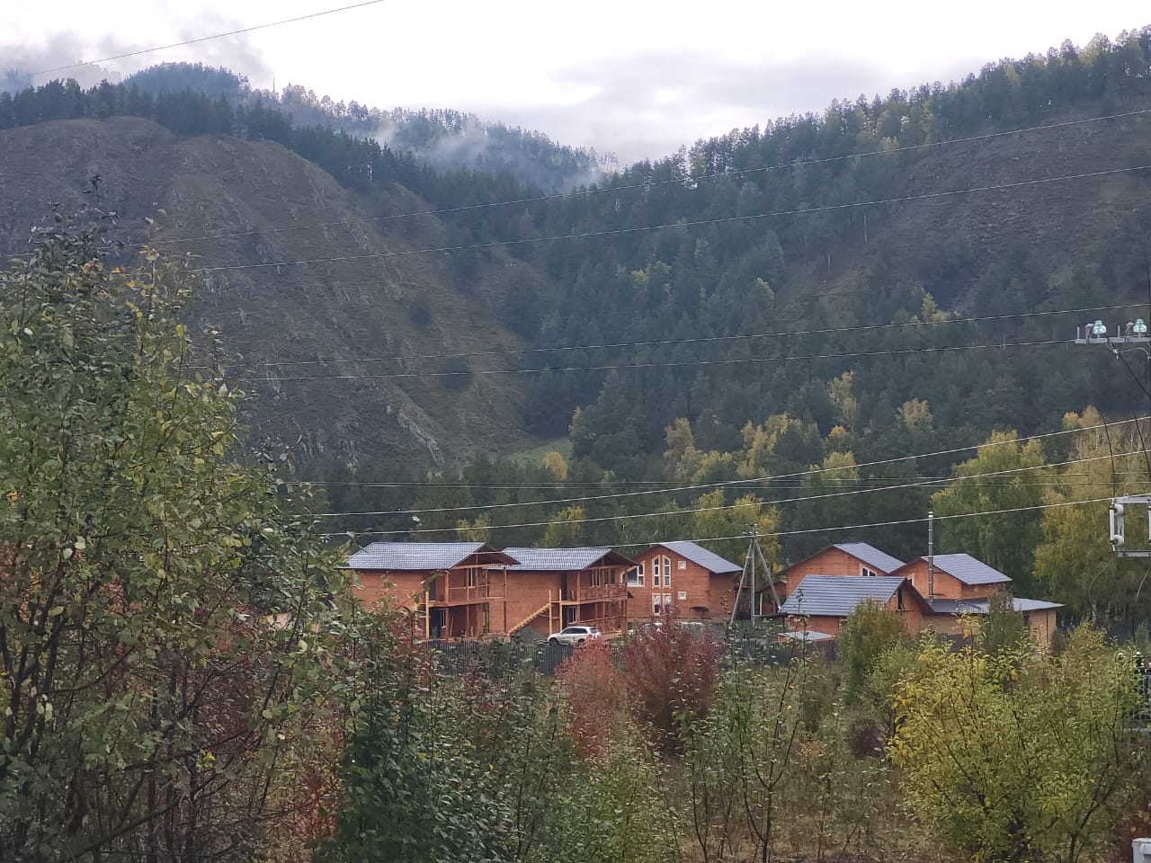 Фото Клубника & Мята