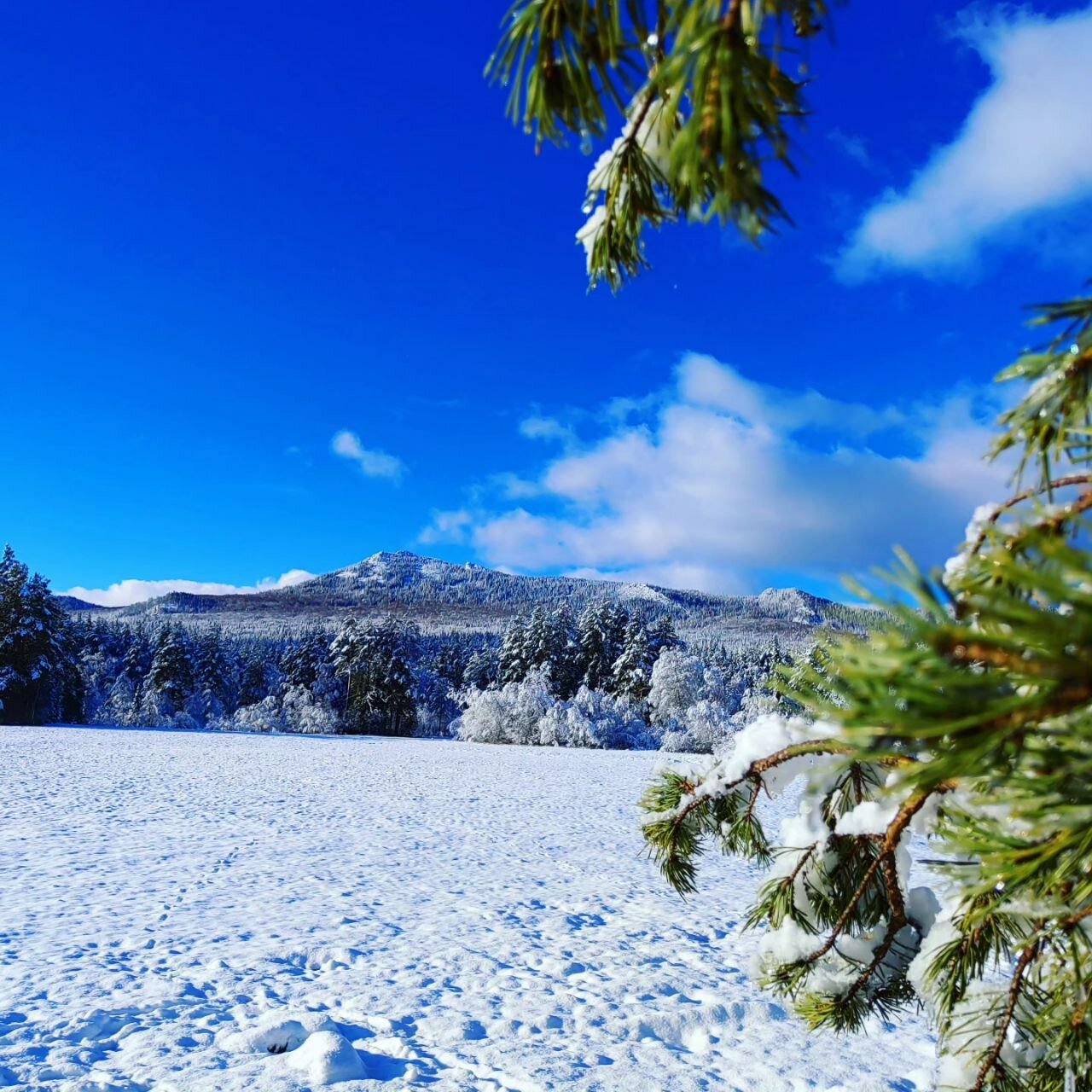 Фото Парк Малидак