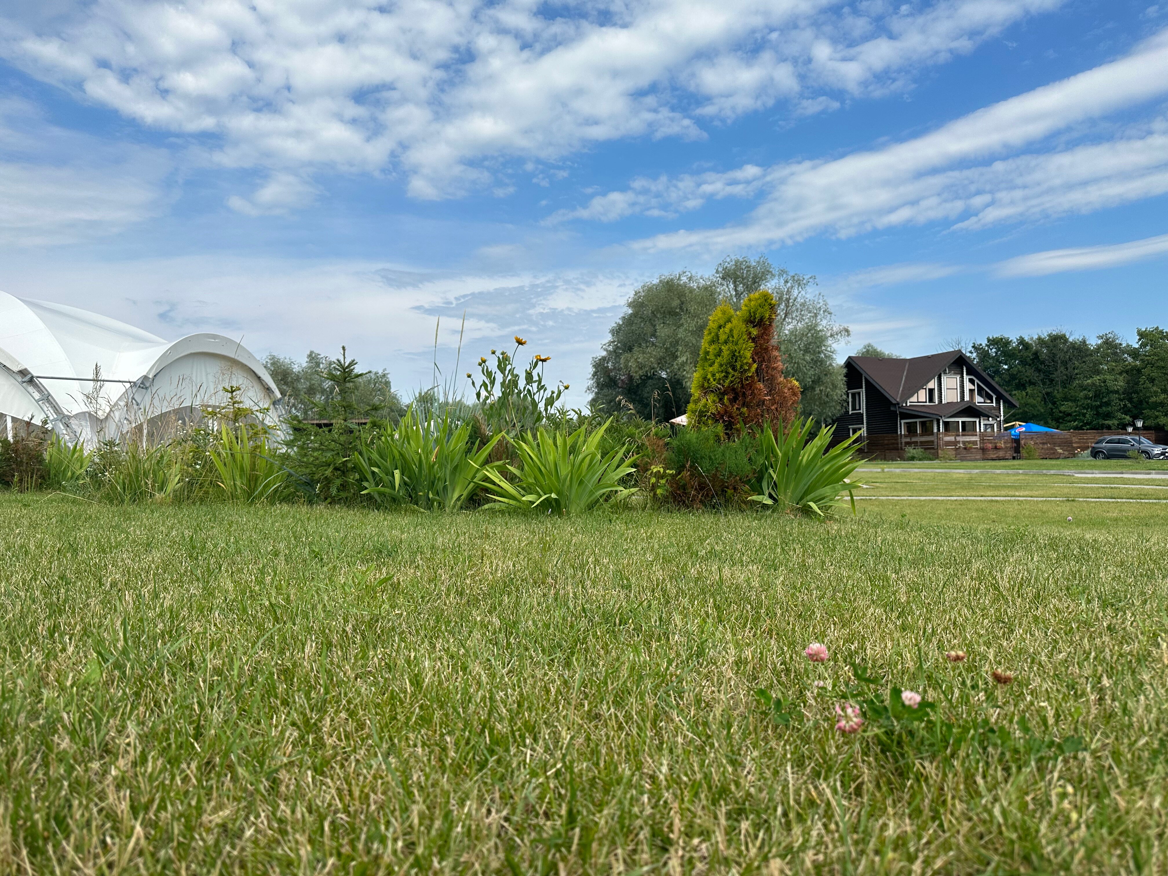 Фото Адмирал